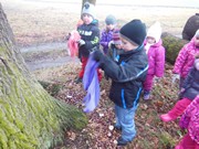 Výprava do lesa, krmení zvířátek